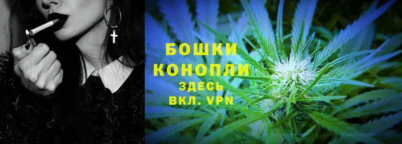 Бошки марихуана SATIVA & INDICA  цены наркотик  Зуевка 